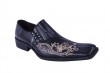 Silky,polychrome ,glossy shoes