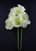 Artificial Orchid - JC7015