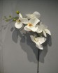 Artificial Orchid - JC7017