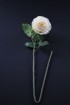Artificial Rose - Champagne