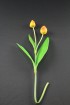 Artificial Tulip - Orange