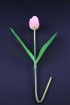 Artificial Tulip - Pink