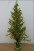 Mini Christmas flower pot 6