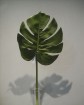 artificial leaf - JC6011