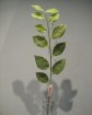artificial leaf -JC6016