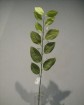 artificial leaf -JC6017