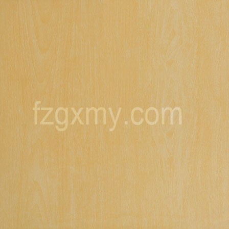 ceramic Floor Tile