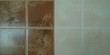 toilet wall tiles (AFT017)