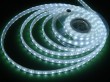 5050 smd flexible led strip