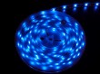 High Volt LED Strip 3528-60LEDs