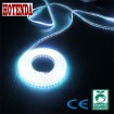 High Volt LED Strip Light