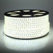 White High Volt LED Strip 5050-60LEDs