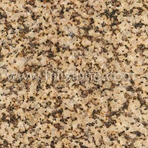 Chrysanthemum Yellow Granite