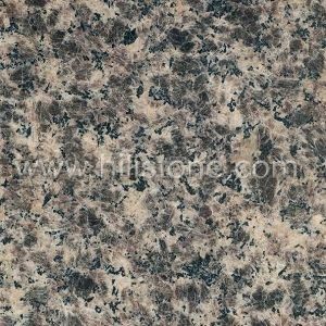 Leopard Skin Granite