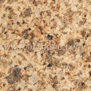 Golden Grain Granite