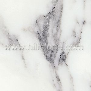 Arabescato Corchia Marble