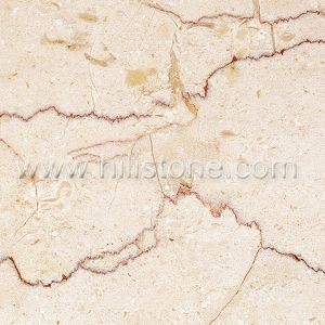 Shell Beige Marble