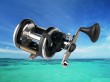 casting fishing trolling reel