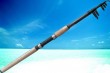 casting fishing boat rod