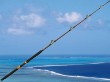 casting fishing boat rod