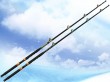 casting fishing boat rod