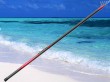 casting fishing bolognese rod