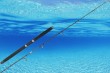 casting fishing jigging rod