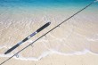 casting fishing jigging rod