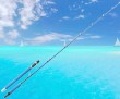 casting fishing jigging rod