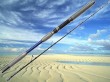 casting fishing jigging rod