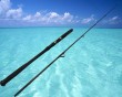 casting fishing jigging rod