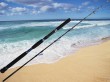 casting fishing jigging rod