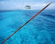 casting fishing jigging rod