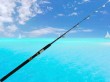 casting fishing solid rod