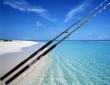 casting fishing solid rod