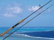 casting fishing spinning rod