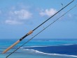 casting fishing spinning rod