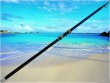 casting fishing surf rod