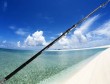 casting fishing surf rod