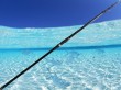 casting fishing surf rod