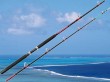 casting fishing trolling rod