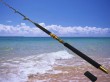 casting fishing trolling rod