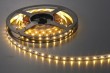 non-waterproof flexible strip light(LR1002)