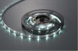 non-waterproof flexible strip light(LR1015)