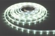 Type F waterproof flexible strip light(LR7001)