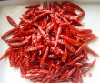 dried whole chilli