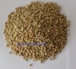 organic buckwheat