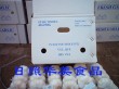 fresh garlic