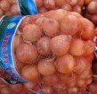 chinese fresh onion