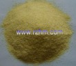 onion powder